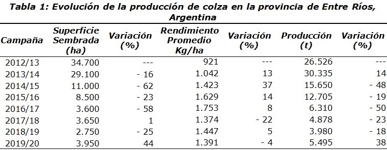 Informe producci&oacute;n de colza - campa&ntilde;a 2019/20