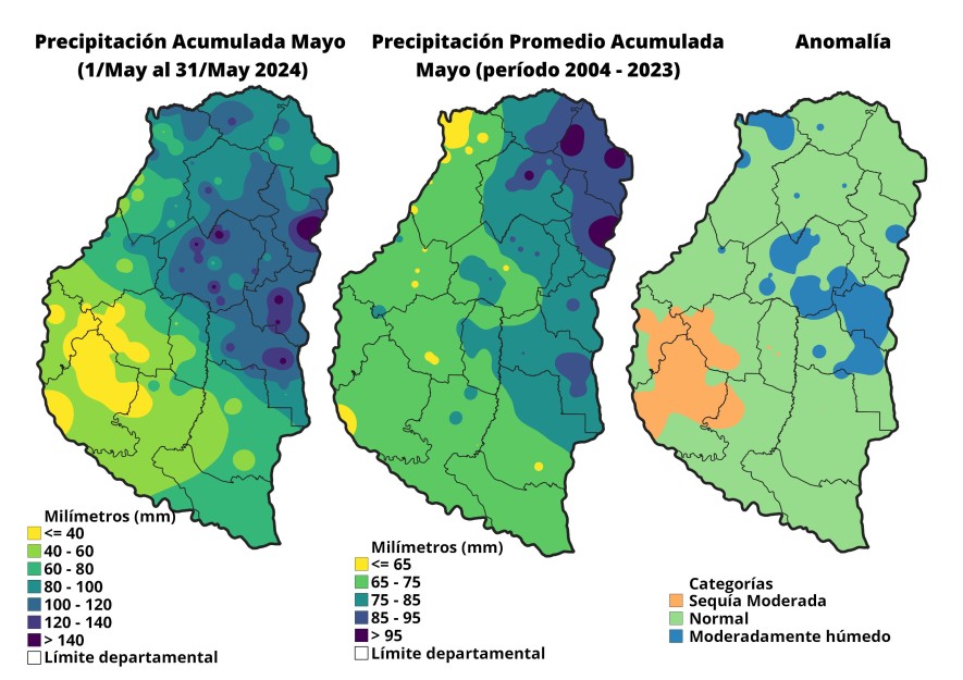 Distribución de la lluvia acumulada en mayo del 2024 versus el promedio (2004 - 2022) en Entre Rios.