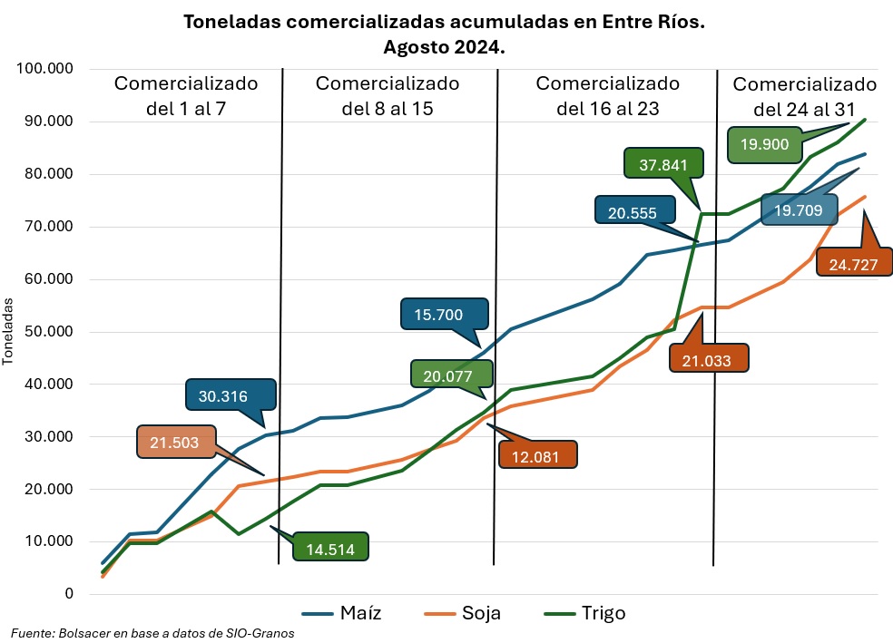 Toneladas comercializadas acumuladas en el mes de agosto de 2024 en Entre Ríos. Fuente: BOLSACER en base a SIO Granos.