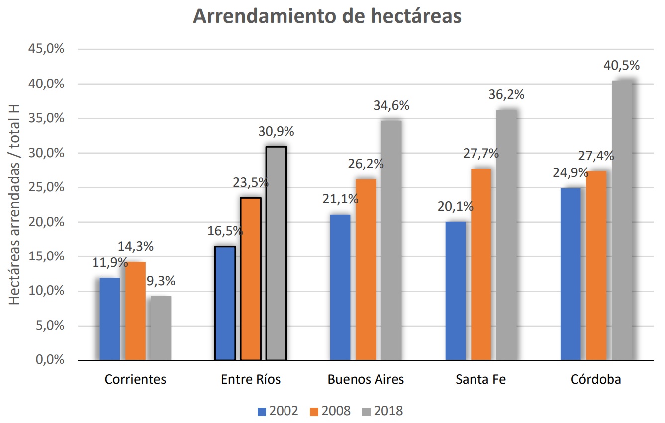 Grafico 4