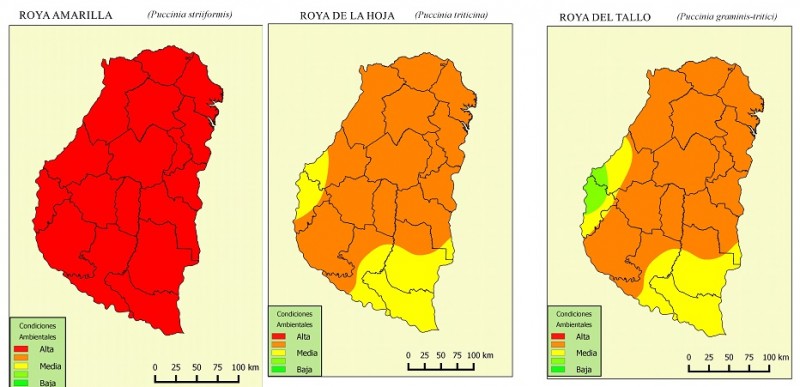 Mapa de precipitaciones