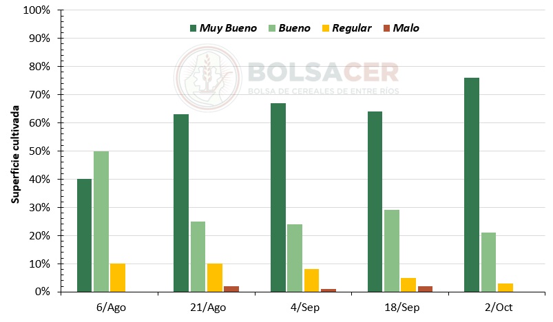 Figura 2: Evolución de la condición de las brassicaceas en la provincia de Entre Ríos.
